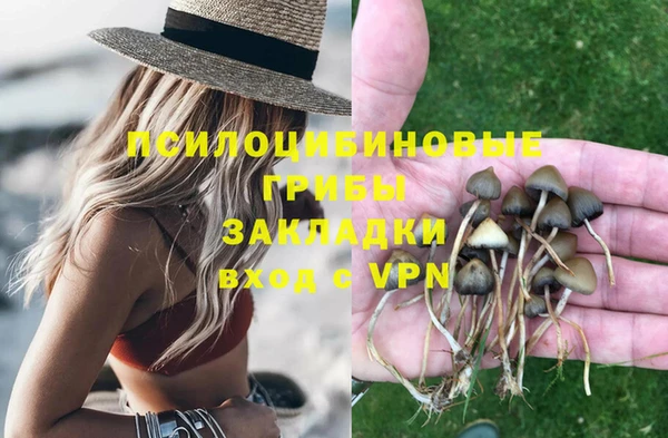 PSILOCYBIN Балахна