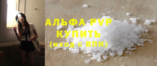 PSILOCYBIN Балахна