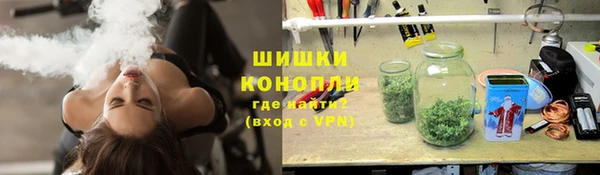 PSILOCYBIN Балахна