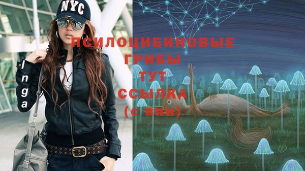 PSILOCYBIN Балахна