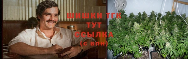 PSILOCYBIN Балахна